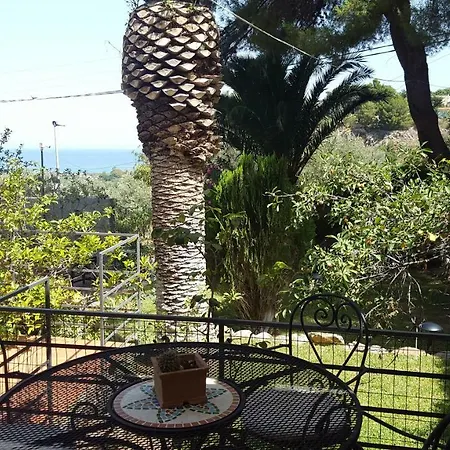 Vasari * קפאצ'י