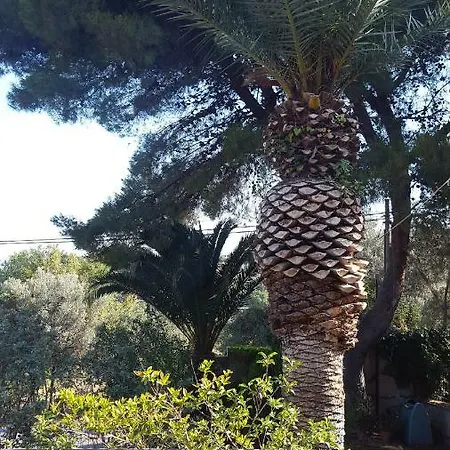 וילה Vasari