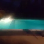 Vasari *